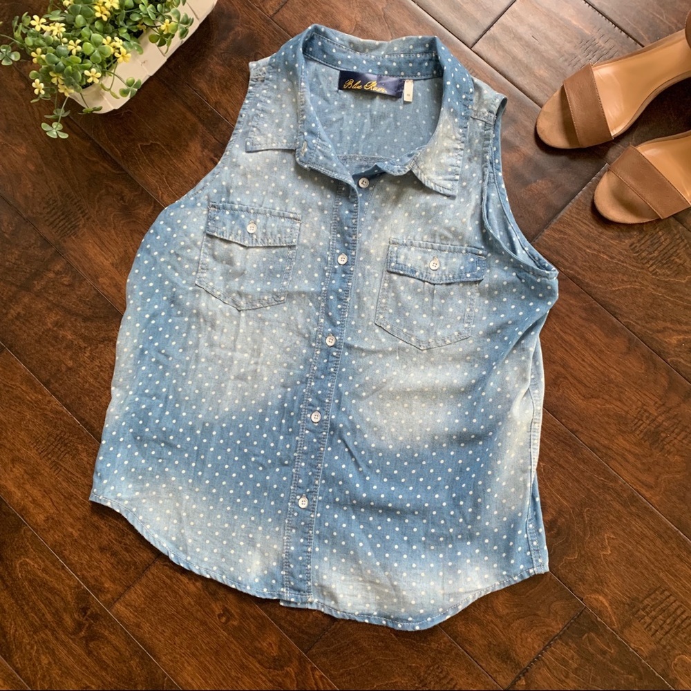 Blue Rein‎ Polka Dot Top